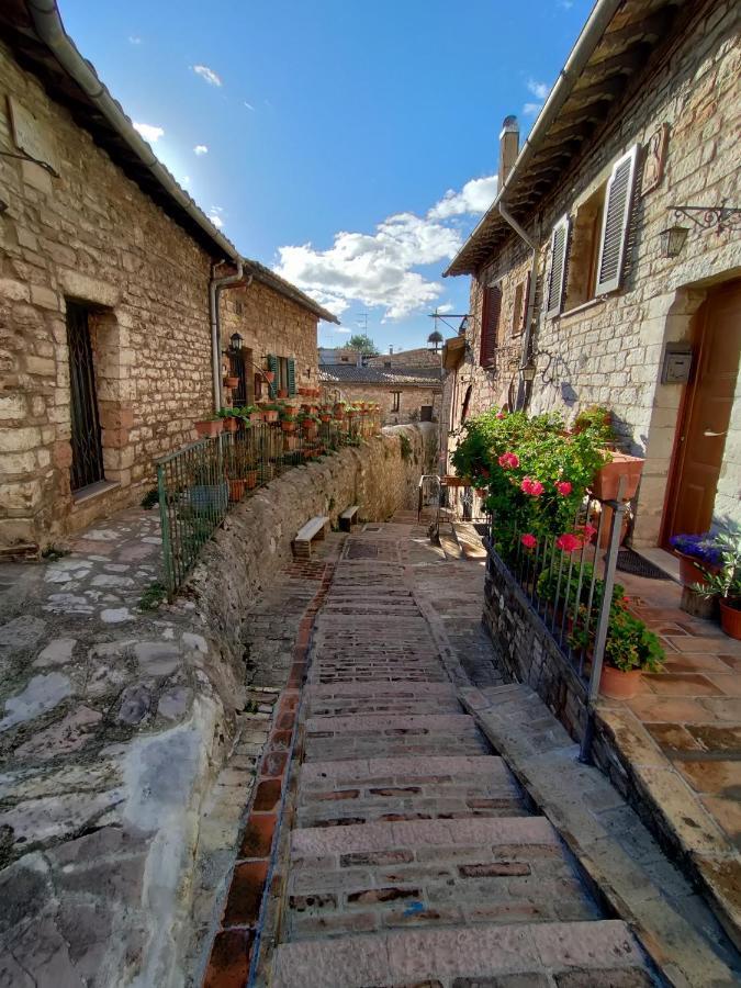Le Casette Di Franco & Anna Assisi Exteriör bild